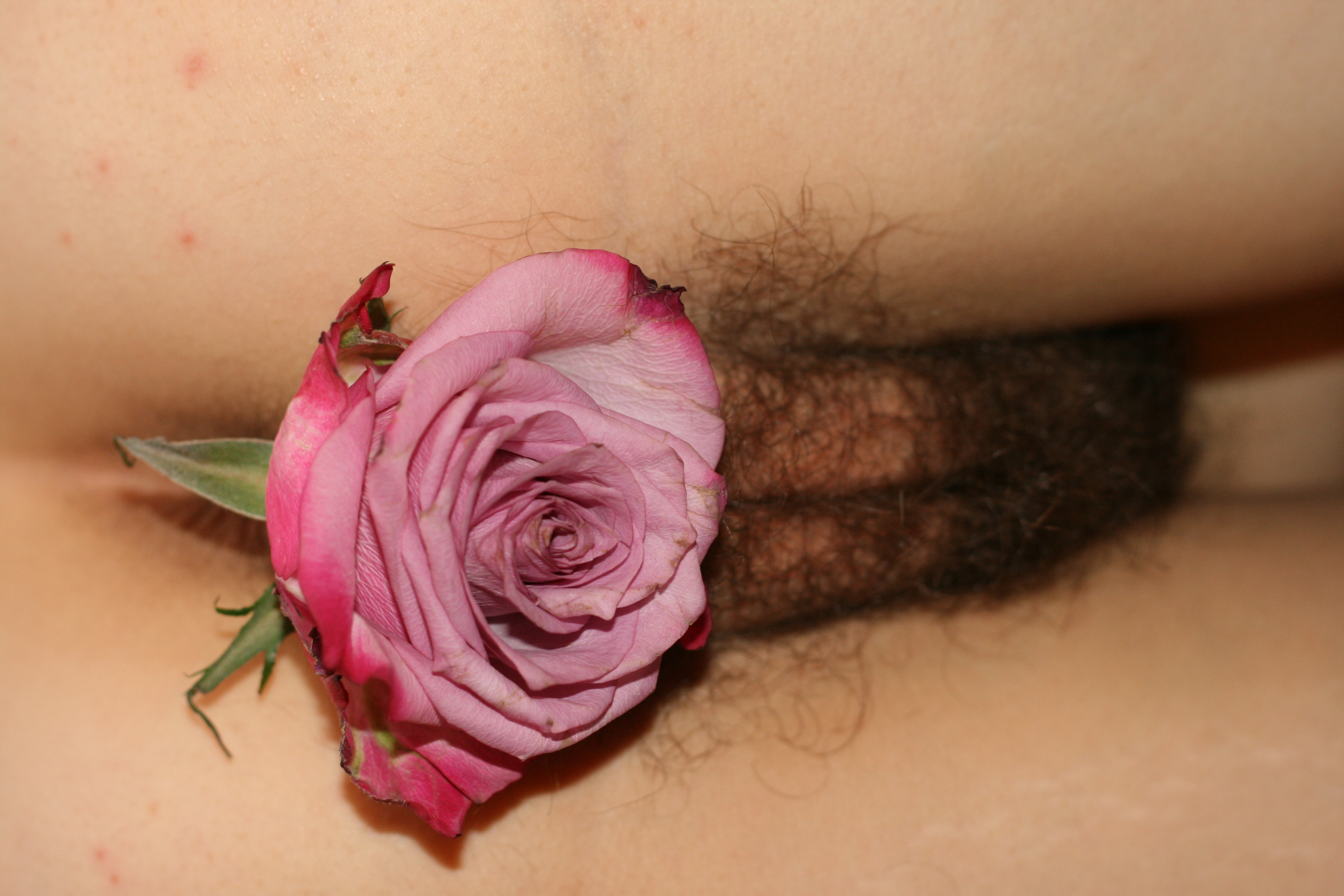 Sarahporn69's flower