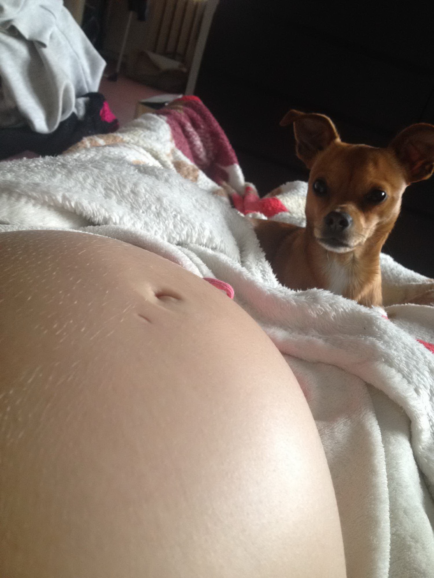 Preggo Selfie Czech Brunette Babe