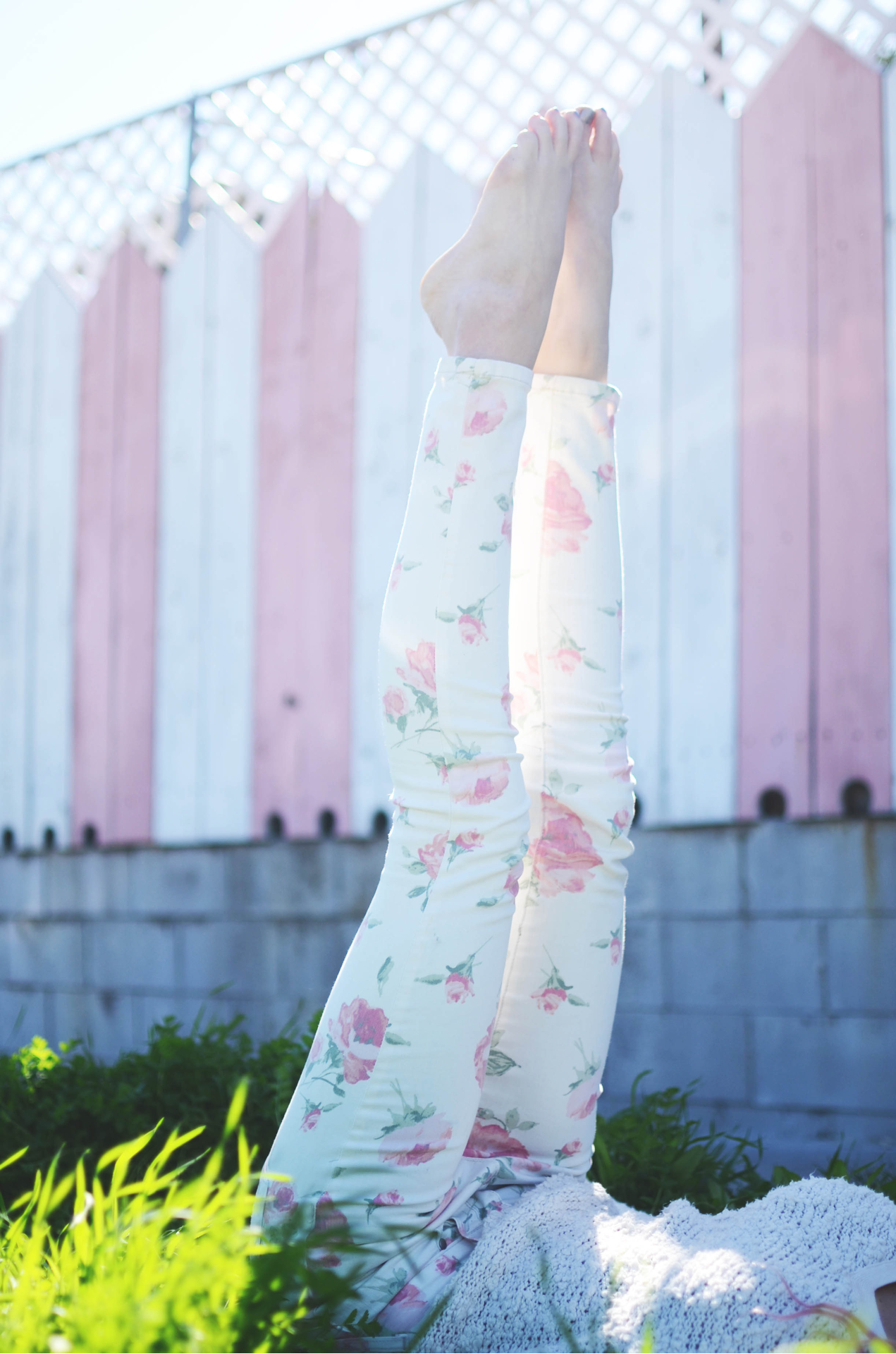 Loves Her Body And Pitbull