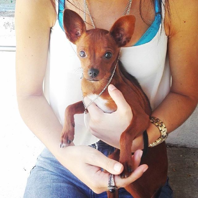 The Ever So Sexy Tatiana