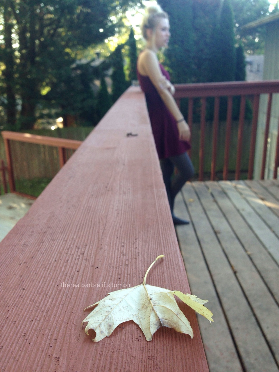 The Real Barbie Lifts #1