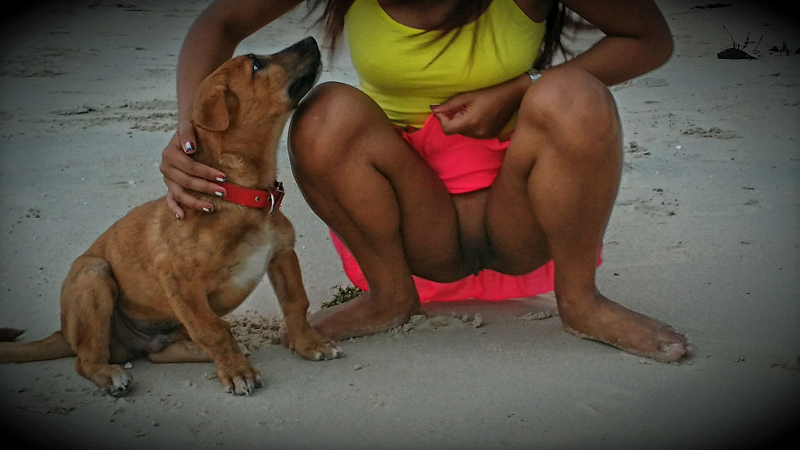 Pattay Filipina vs. Norwegian Stud