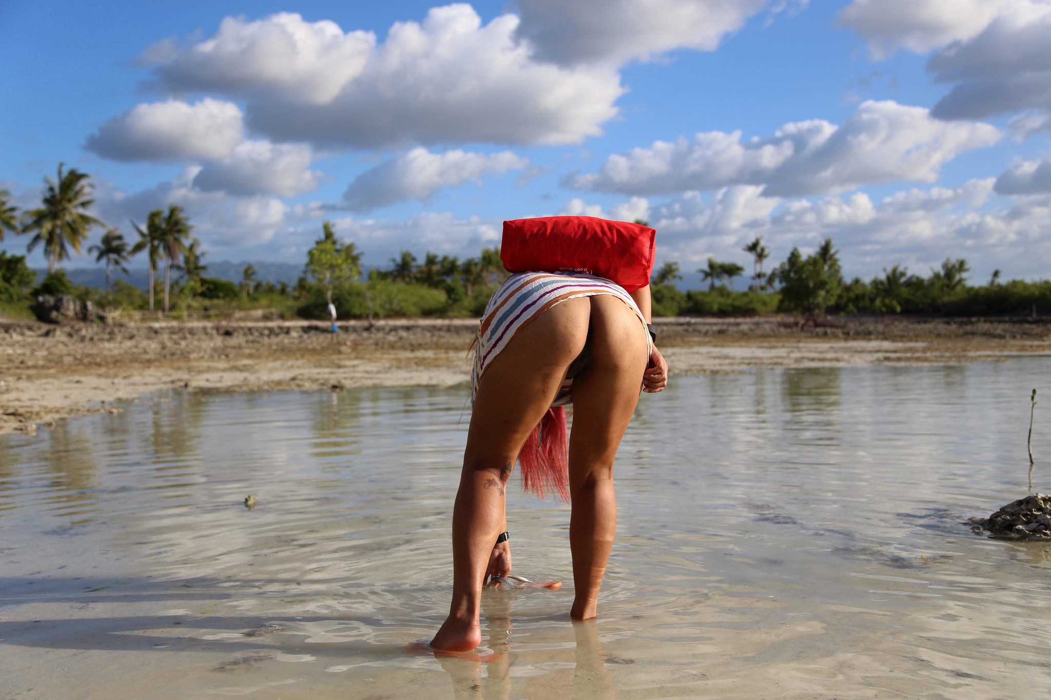 Pattay Filipina vs. Norwegian Stud