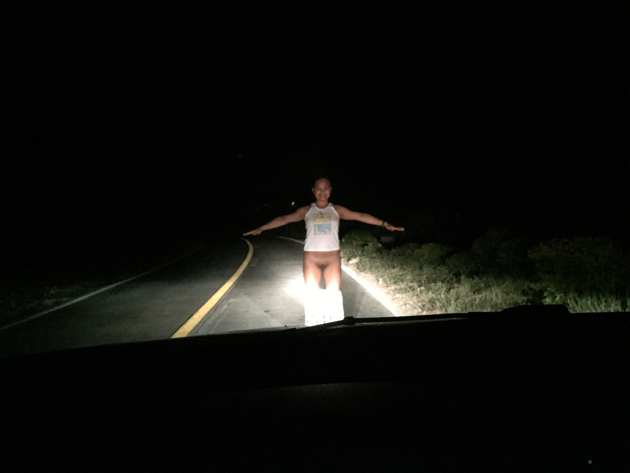 Pattay Filipina vs. Norwegian Stud