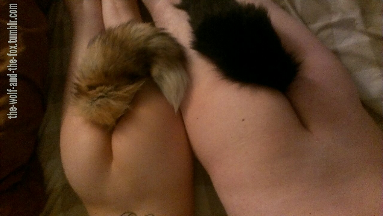 The Wolf and The Fox