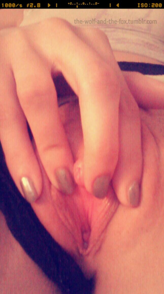 The Wolf and The Fox