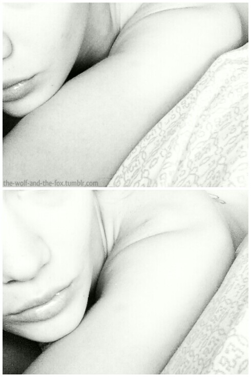 The Wolf and The Fox