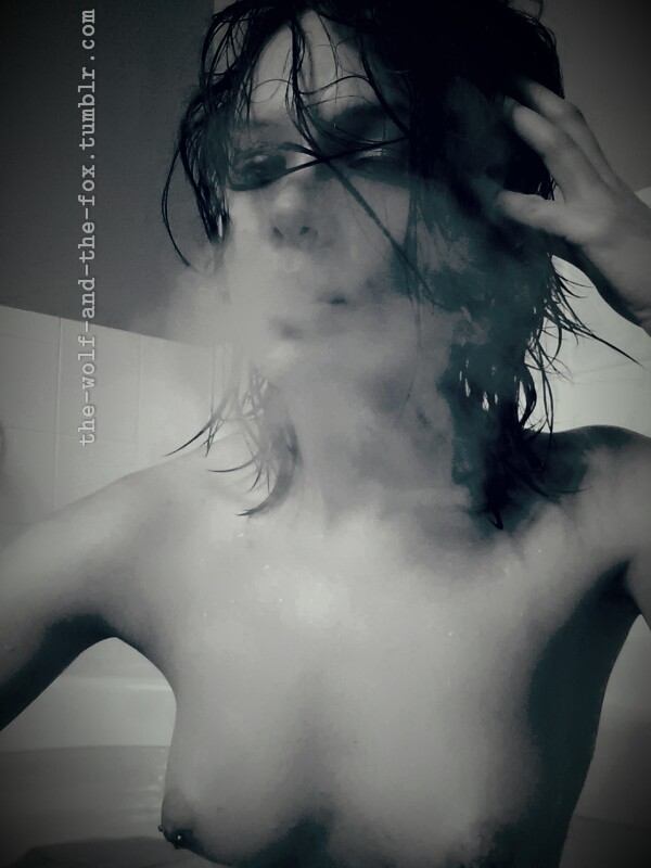 The Wolf and The Fox