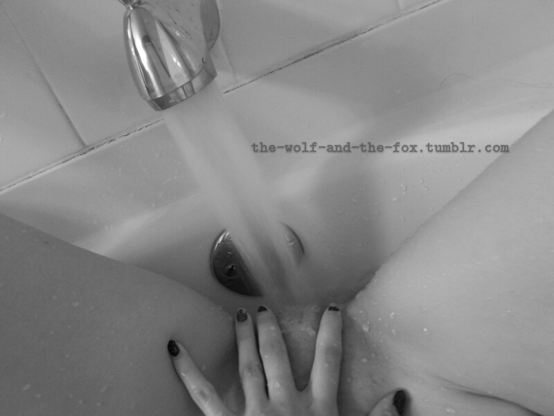 The Wolf and The Fox