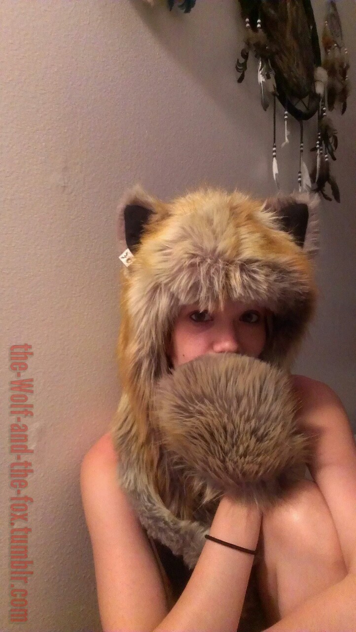 The Wolf and The Fox