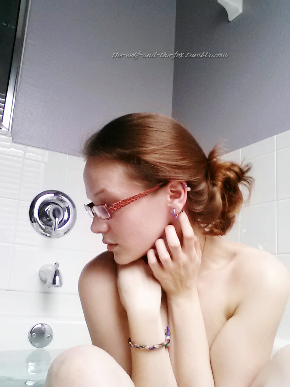 The Wolf and The Fox