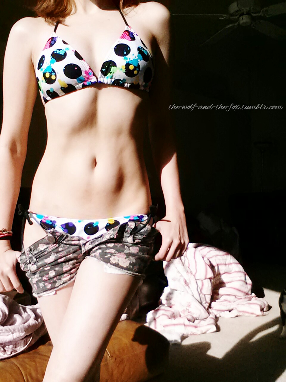 The Wolf and The Fox