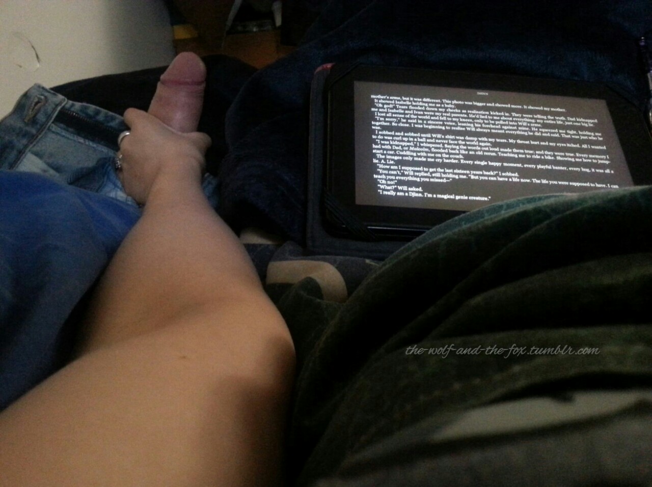 The Wolf and The Fox