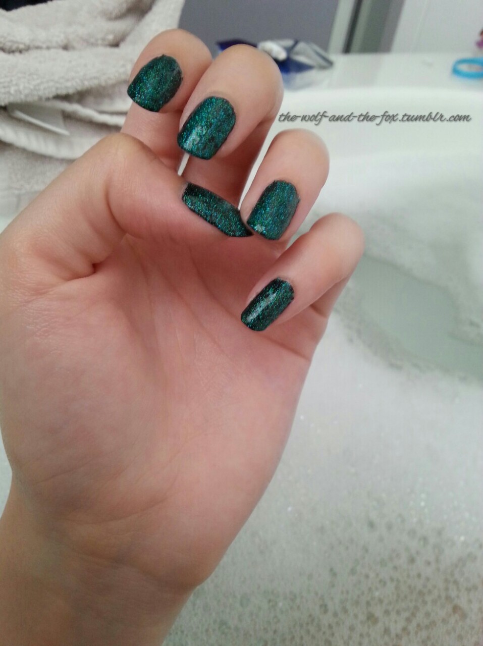 The Wolf and The Fox