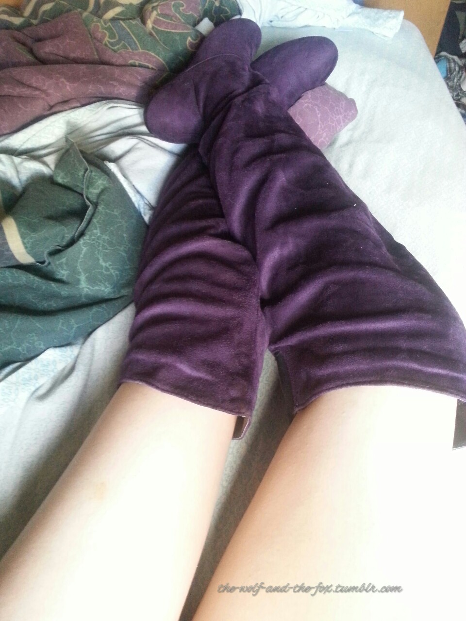 The Wolf and The Fox