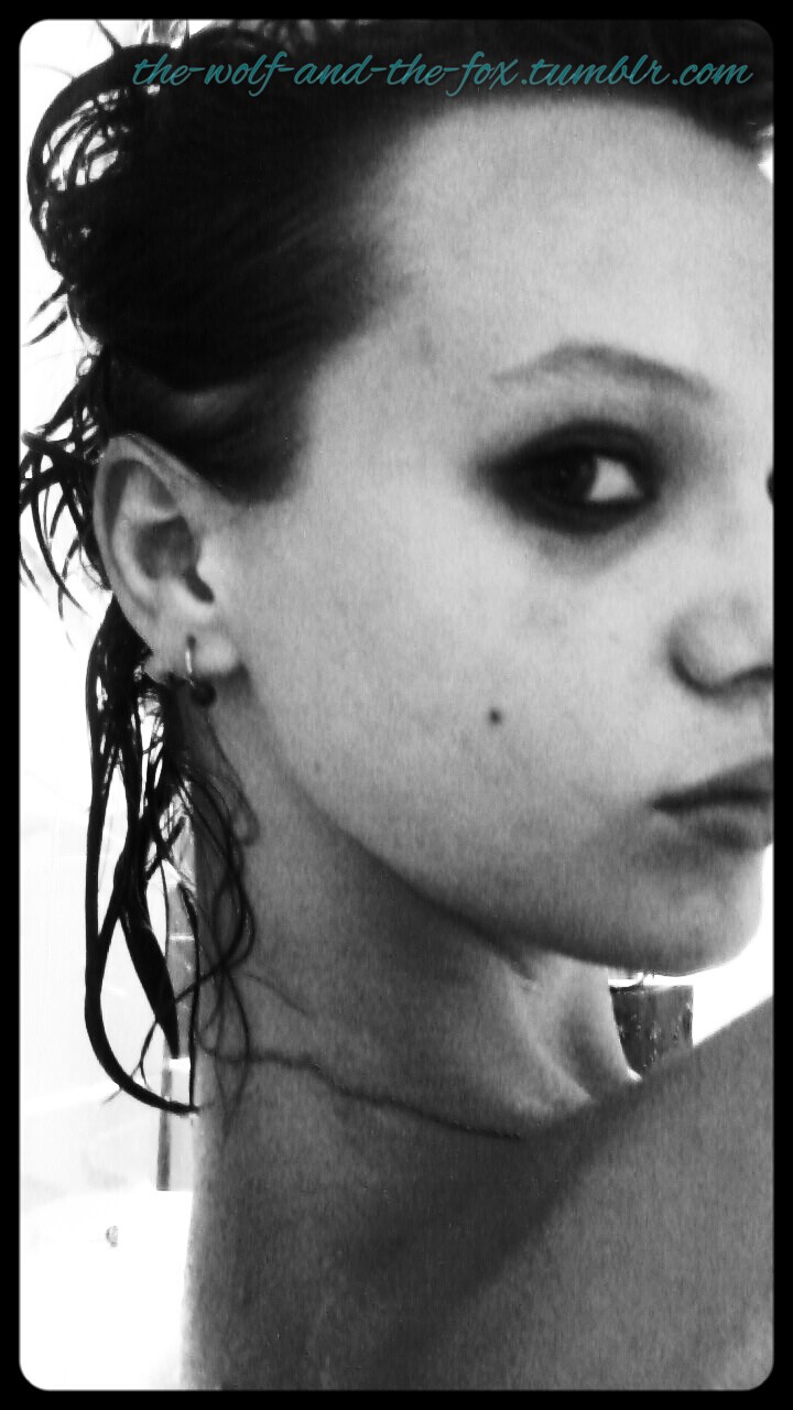 The Wolf and The Fox