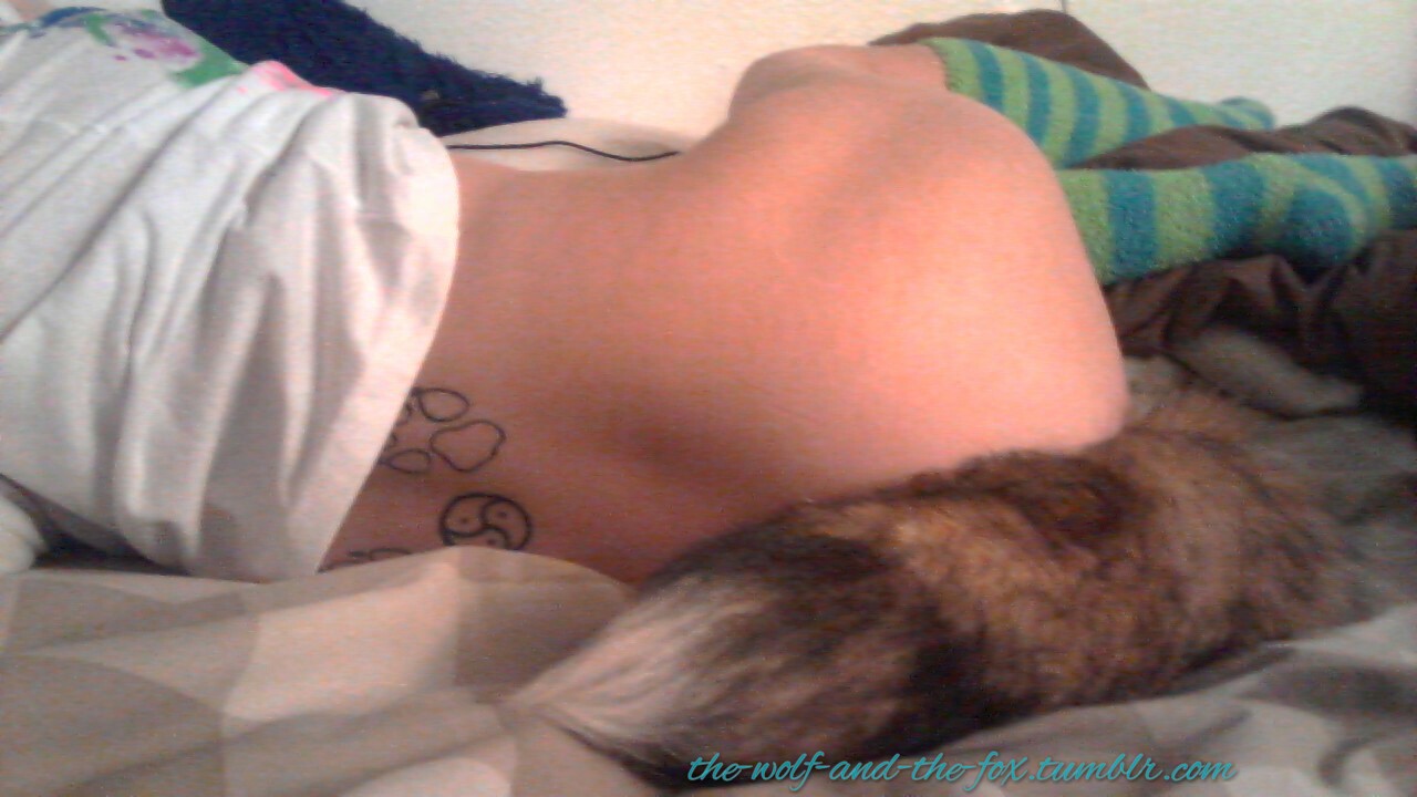 The Wolf and The Fox