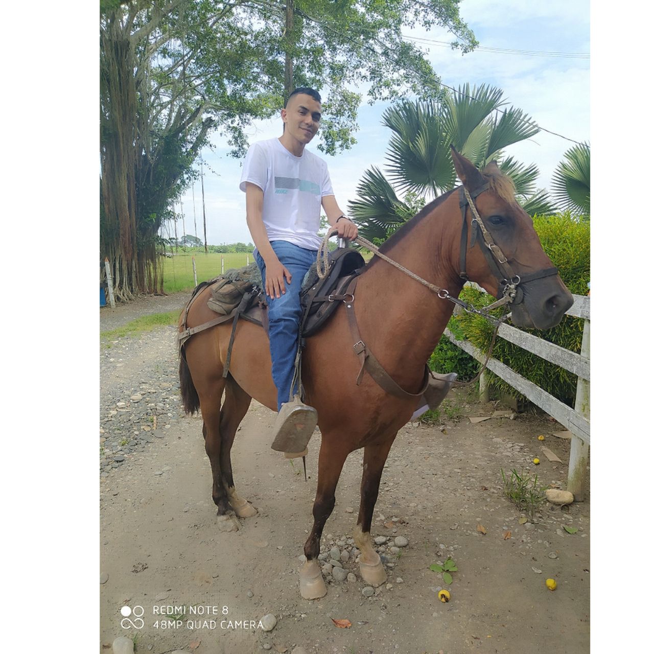 Mature Latina Brazil Mom Milf - arsivizm gallery