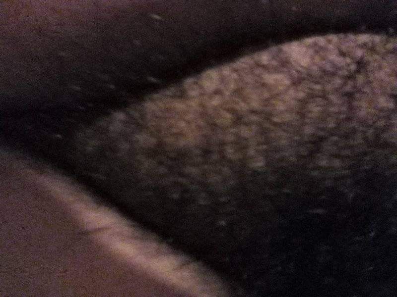 Mature Latina Brazil Mom Milf - arsivizm gallery