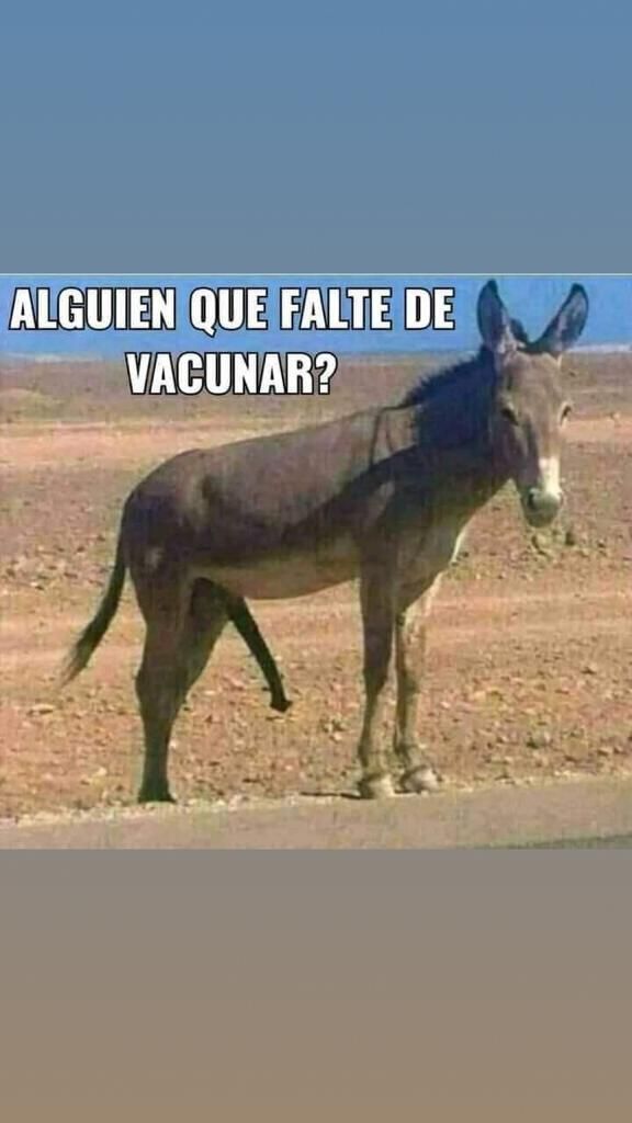 Mature Latina Brazil Mom Milf - arsivizm gallery