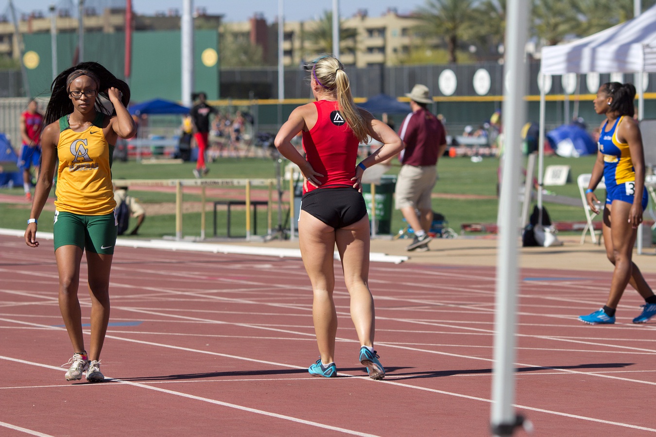 Colorful And Vibrant Mix