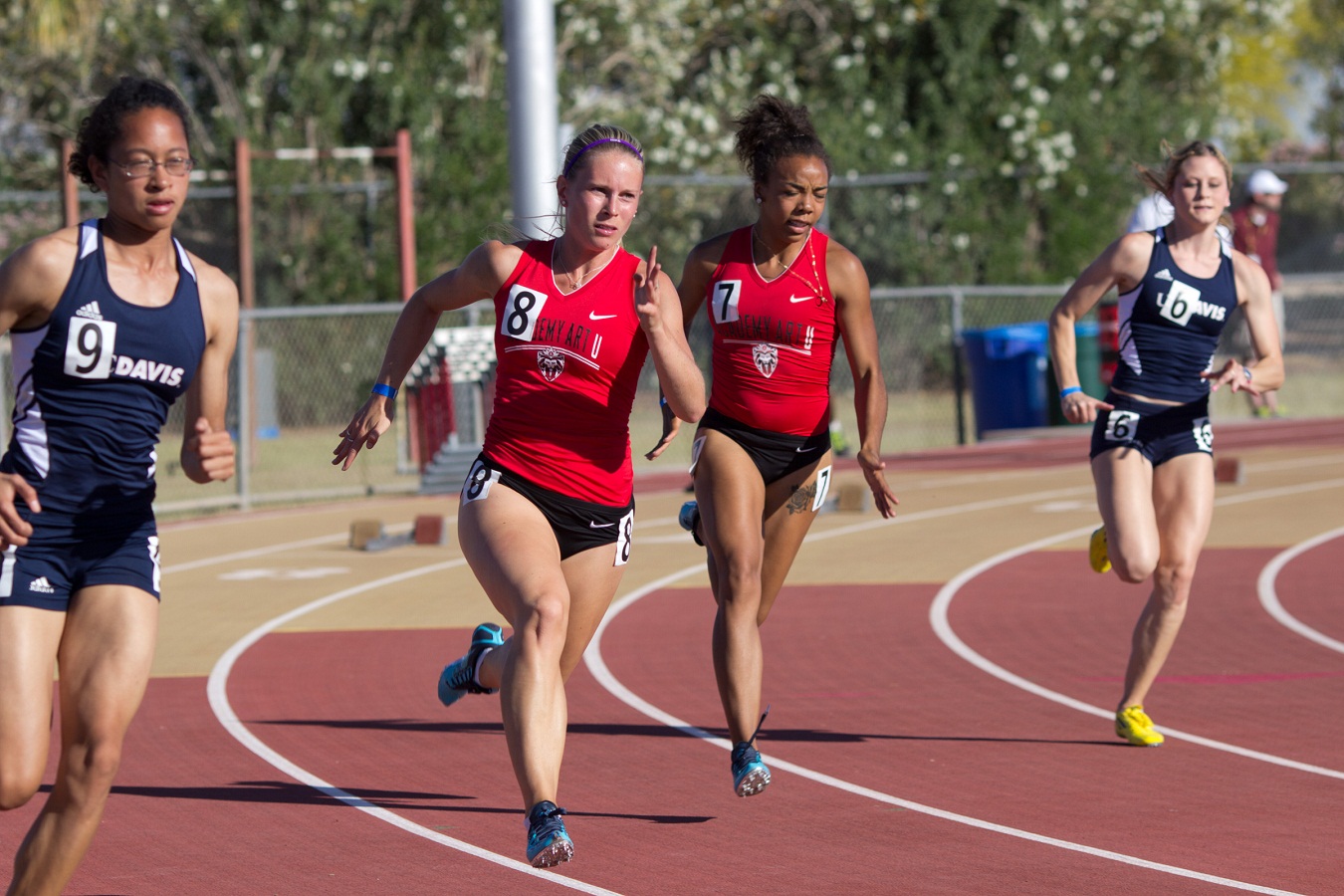 Colorful And Vibrant Mix