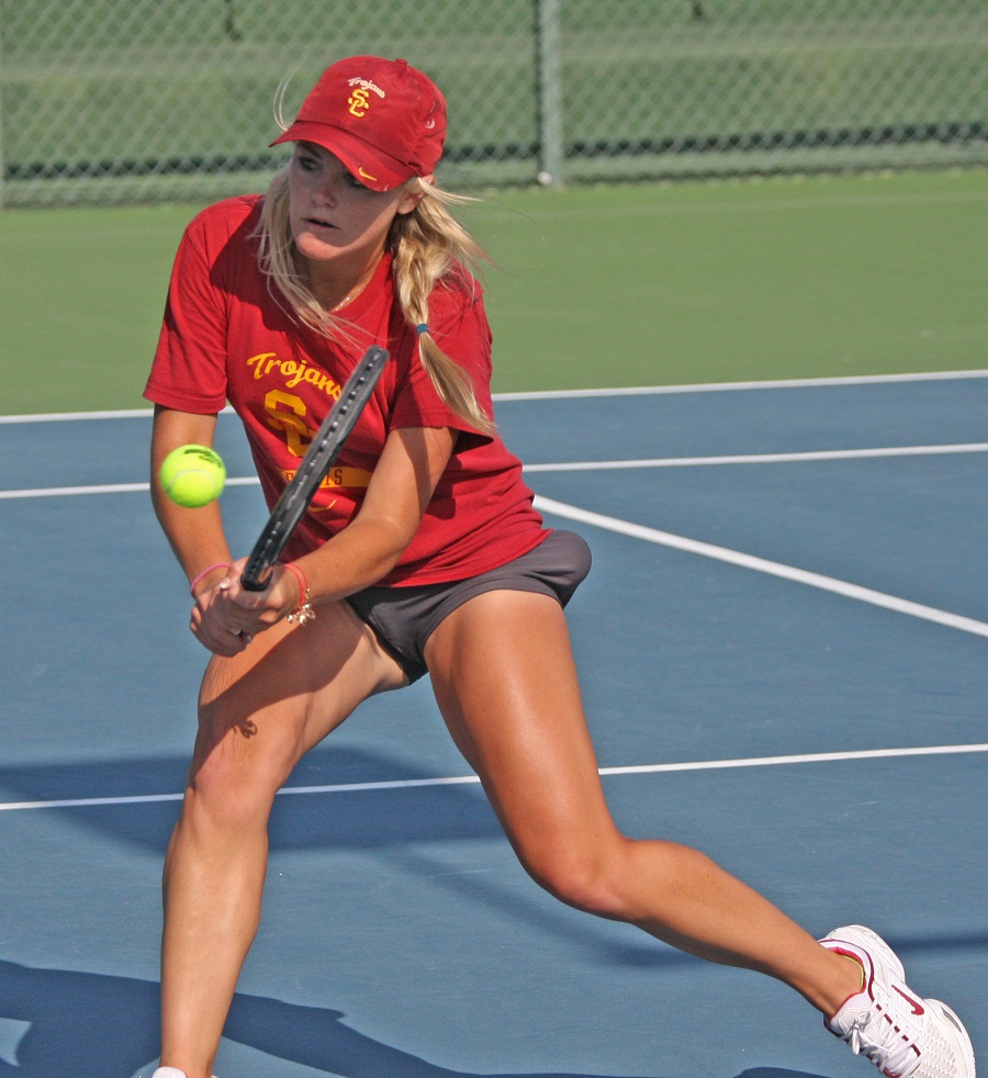 Colorful And Vibrant Mix