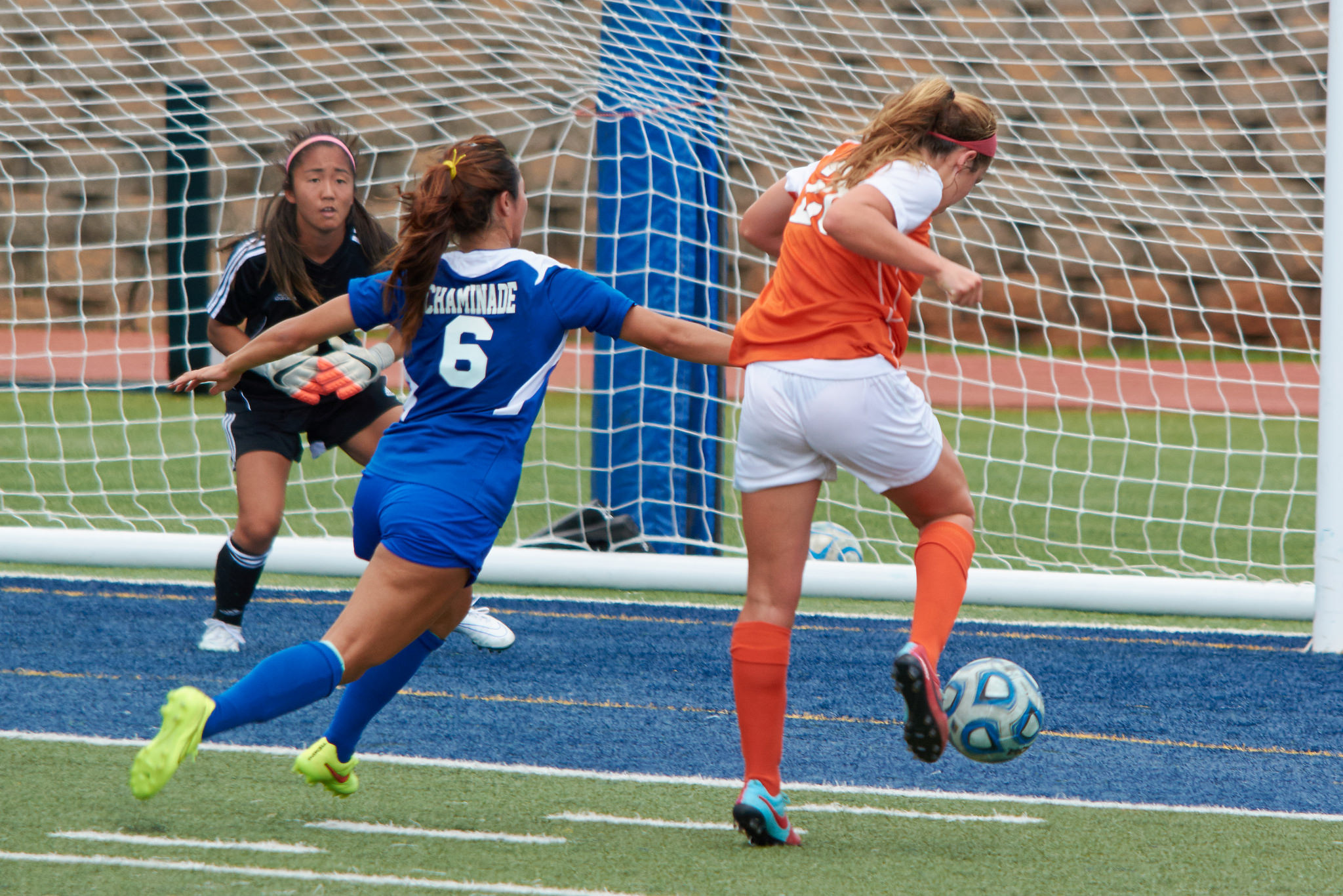 Colorful And Vibrant Mix