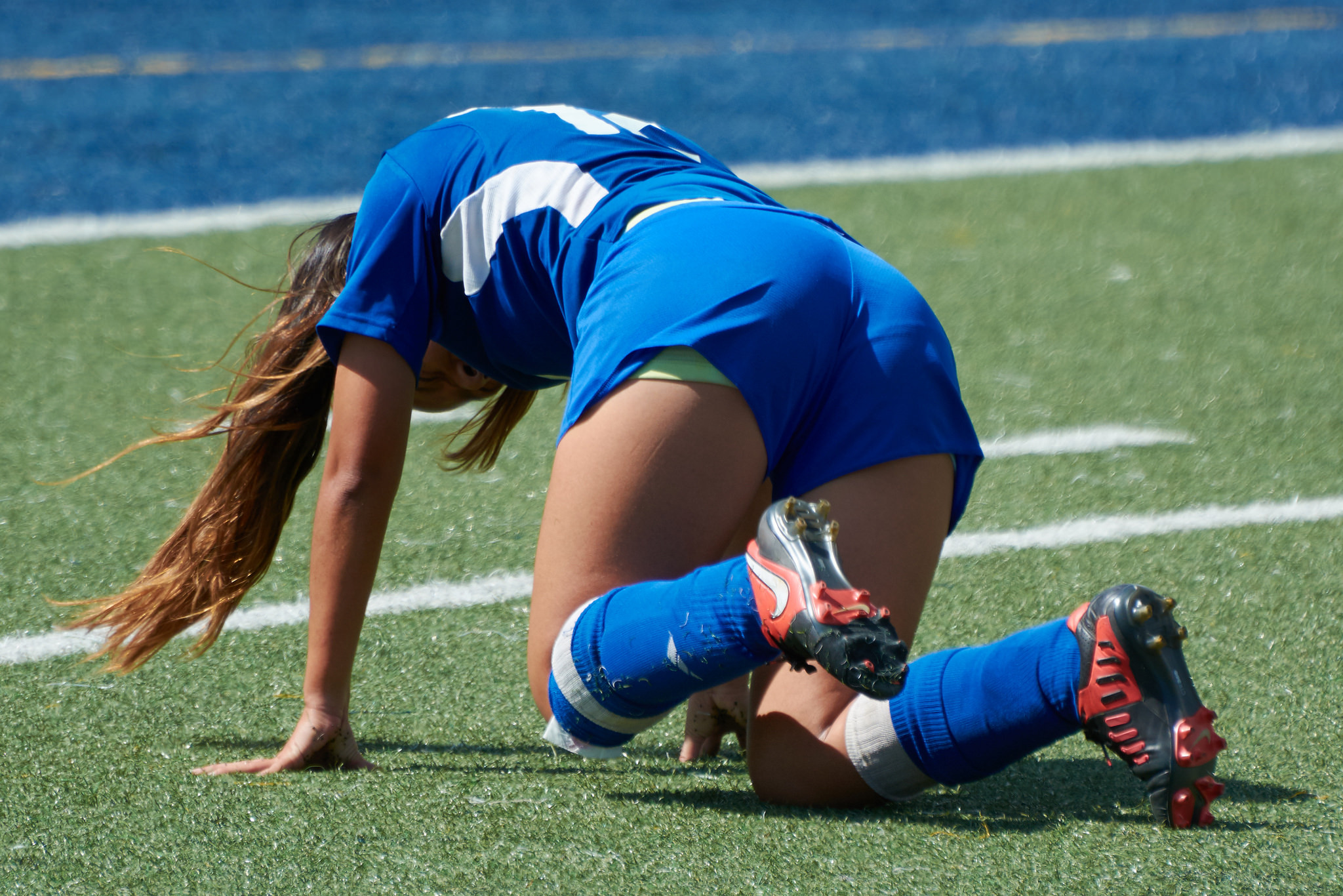 Colorful And Vibrant Mix