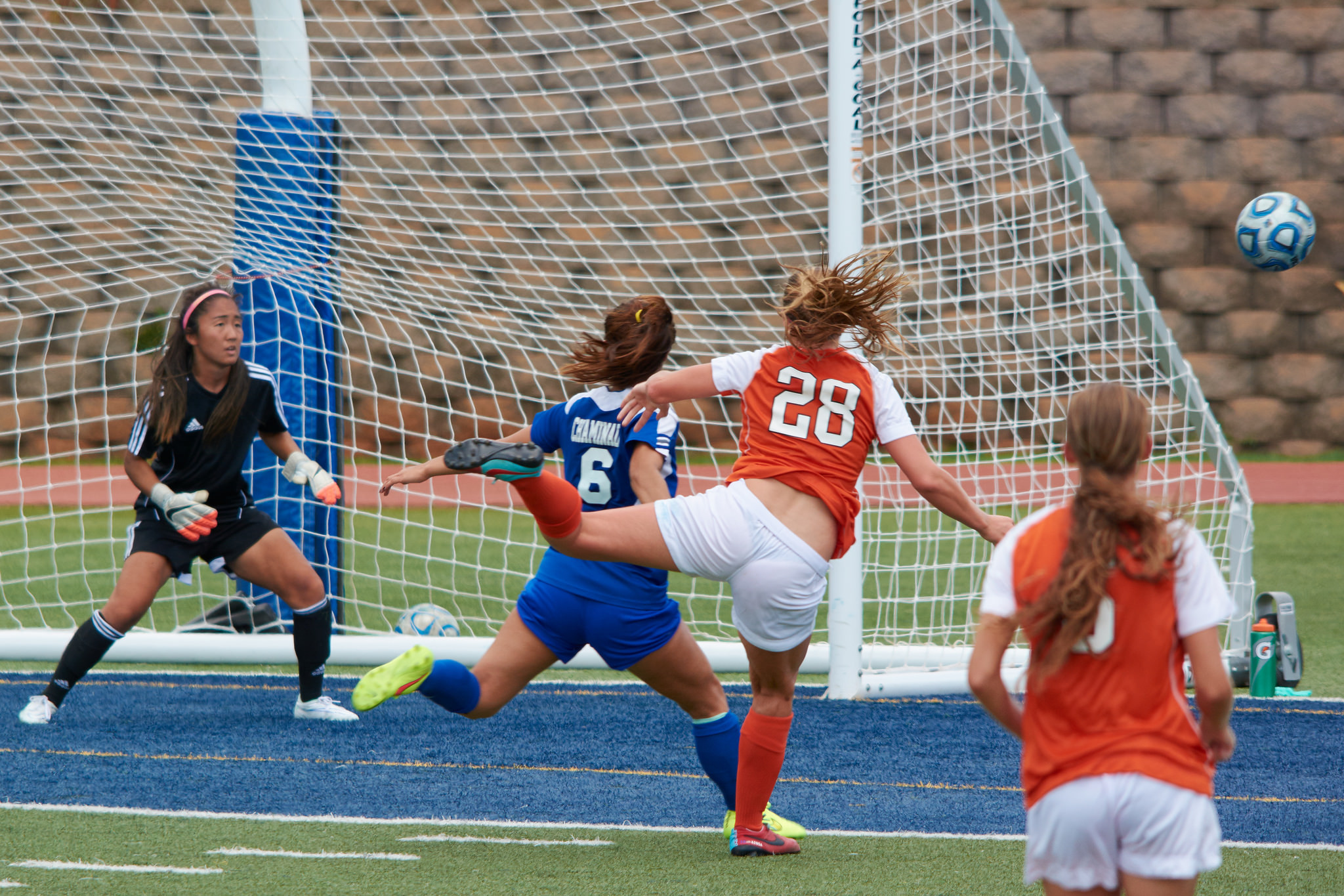 Colorful And Vibrant Mix