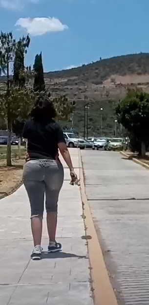 Alondra maestra culona 1