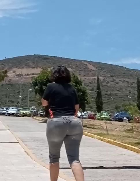 Alondra maestra culona 1