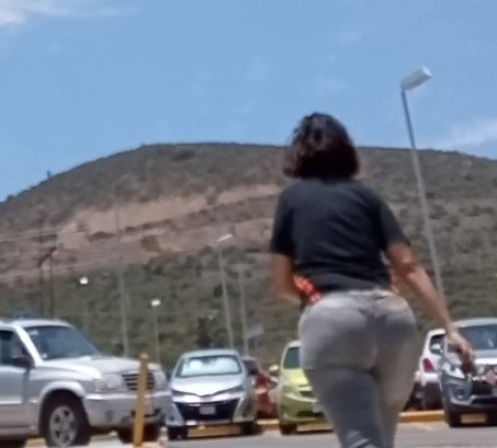 Alondra maestra culona 1