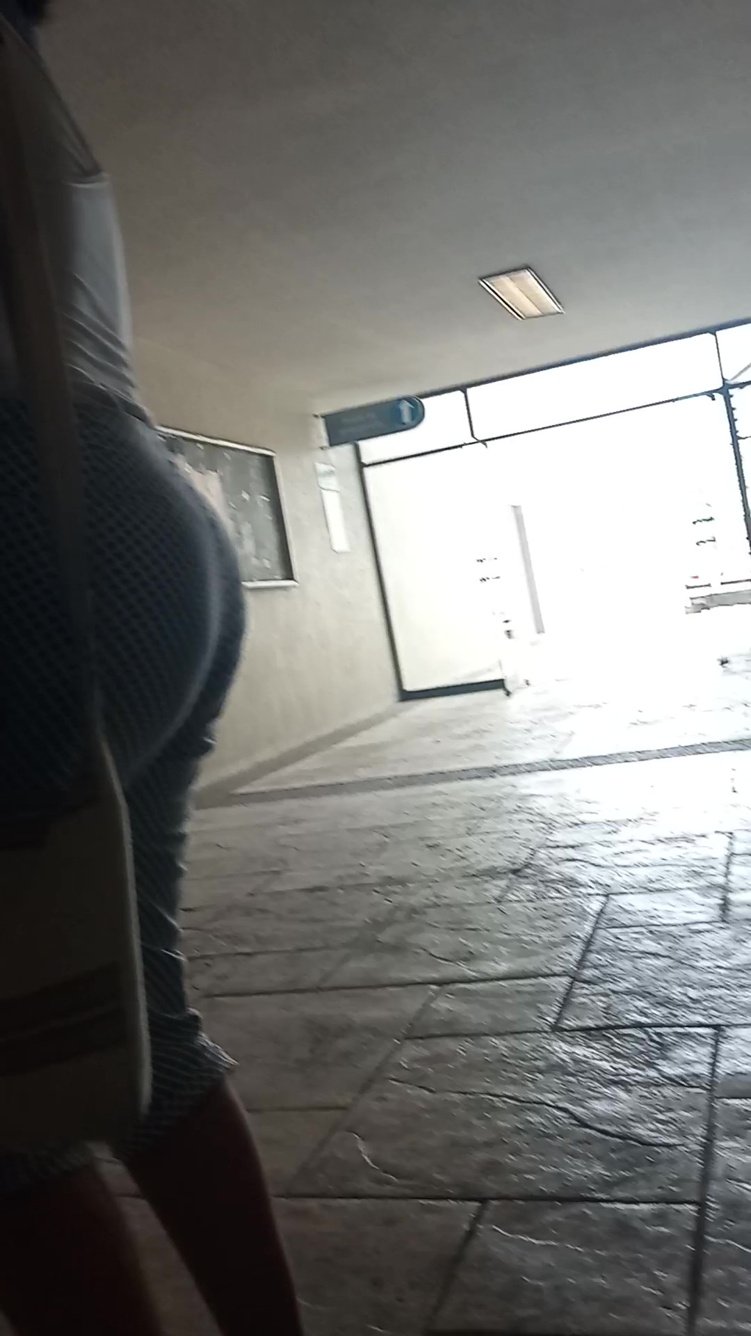 Alondra maestra culona 2