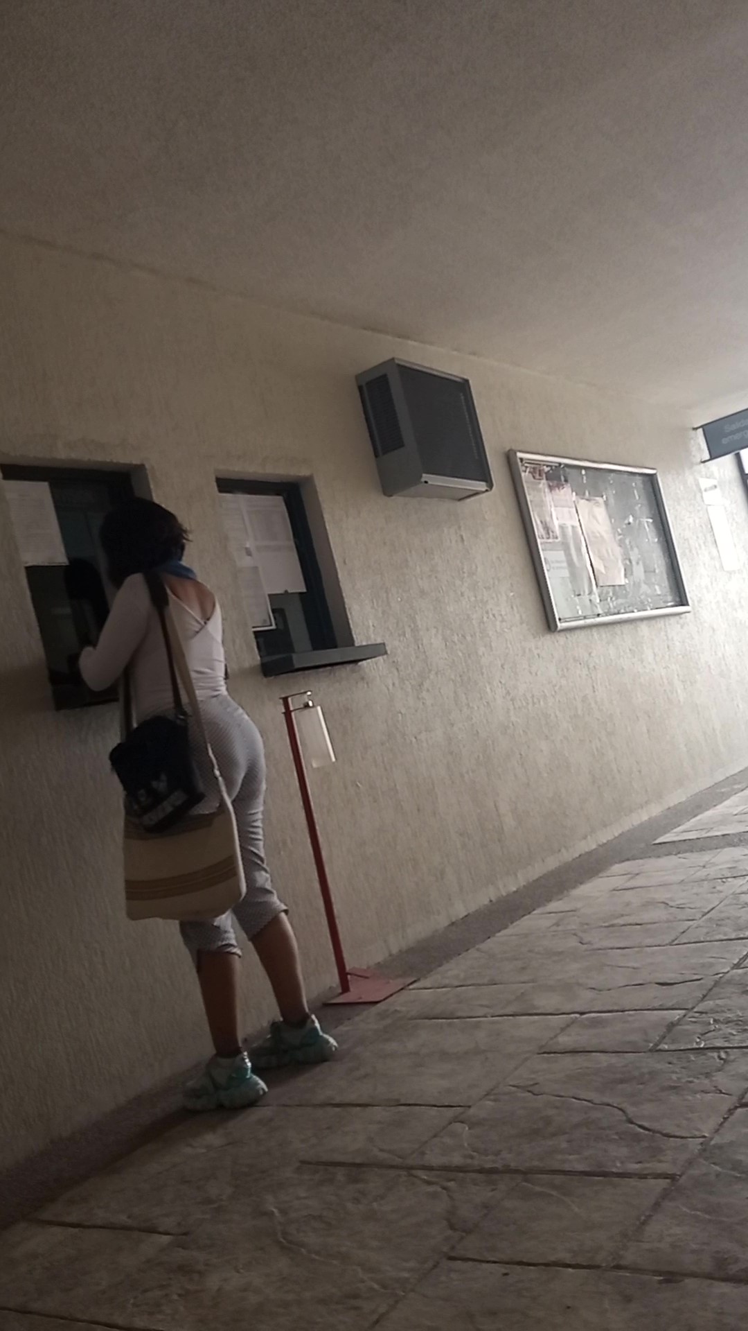 Alondra maestra culona 2