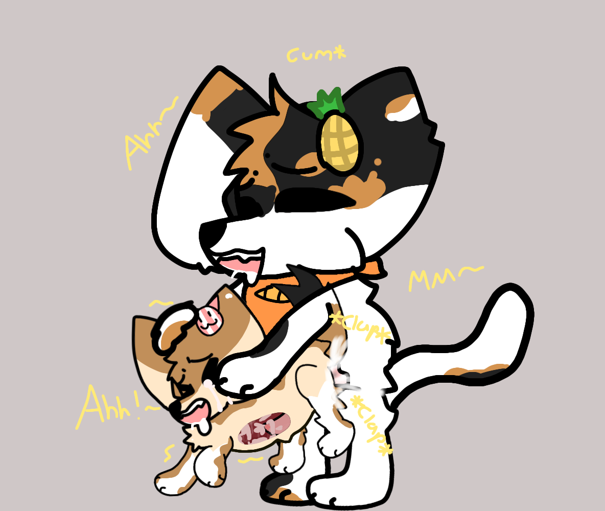 My cat Oli fucks my baby fennec Amara