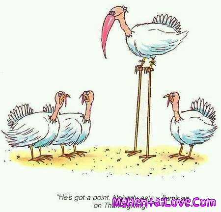 1. Ultimate Collection of Hardcore Anime Hentai Manga Cartoo