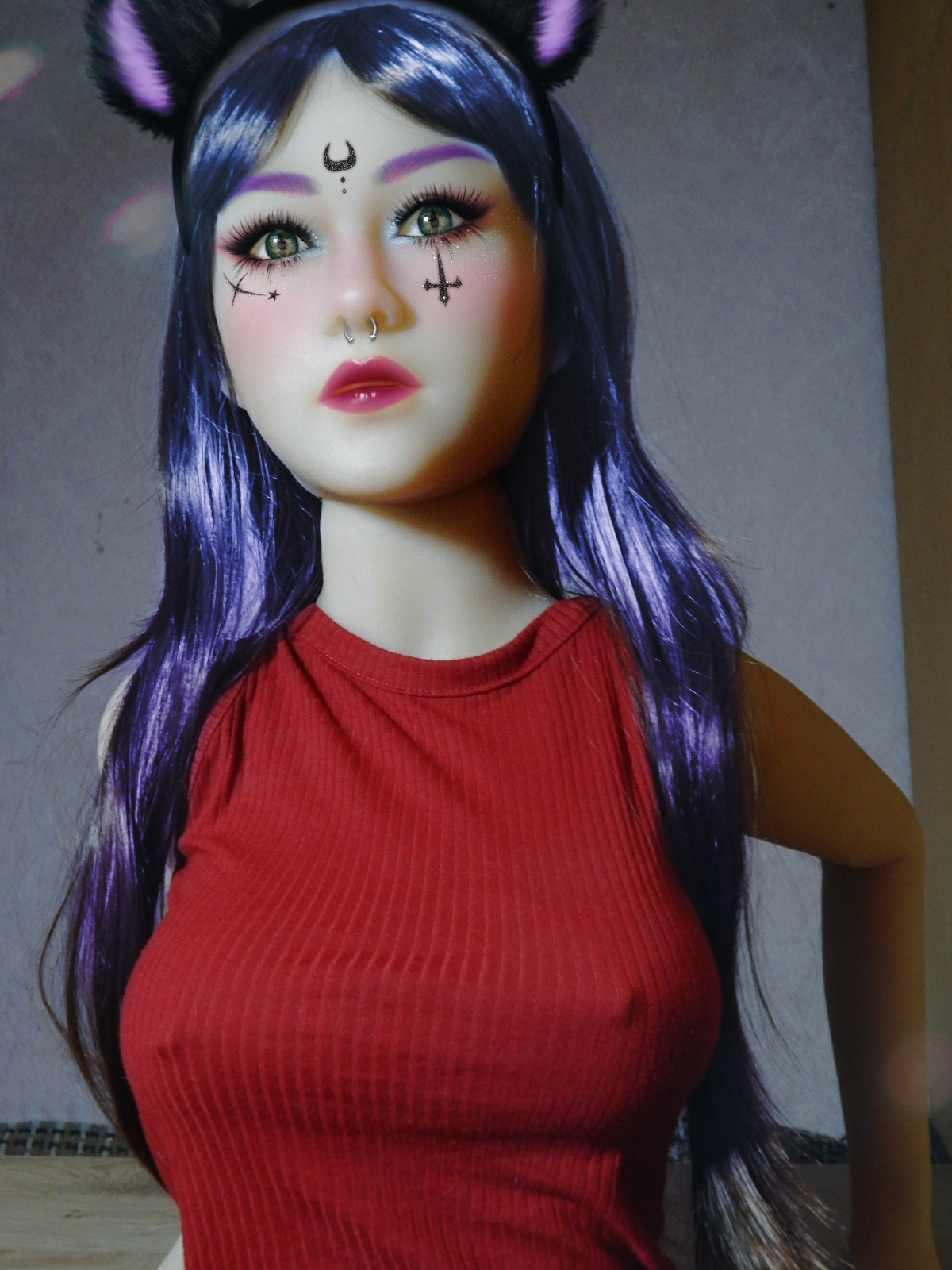 Our new roommate Kitty