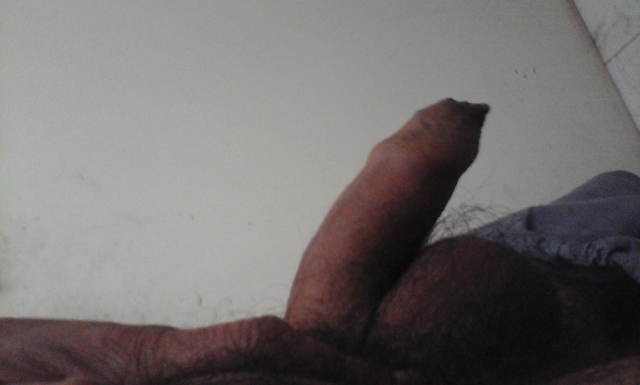 Indian pennis and pussy