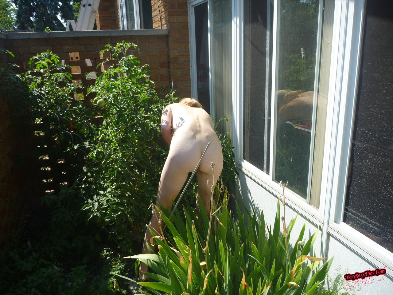 Nudist couple loving life