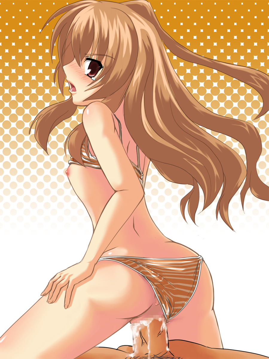 Taiga Aisaka R34 (Rule34)