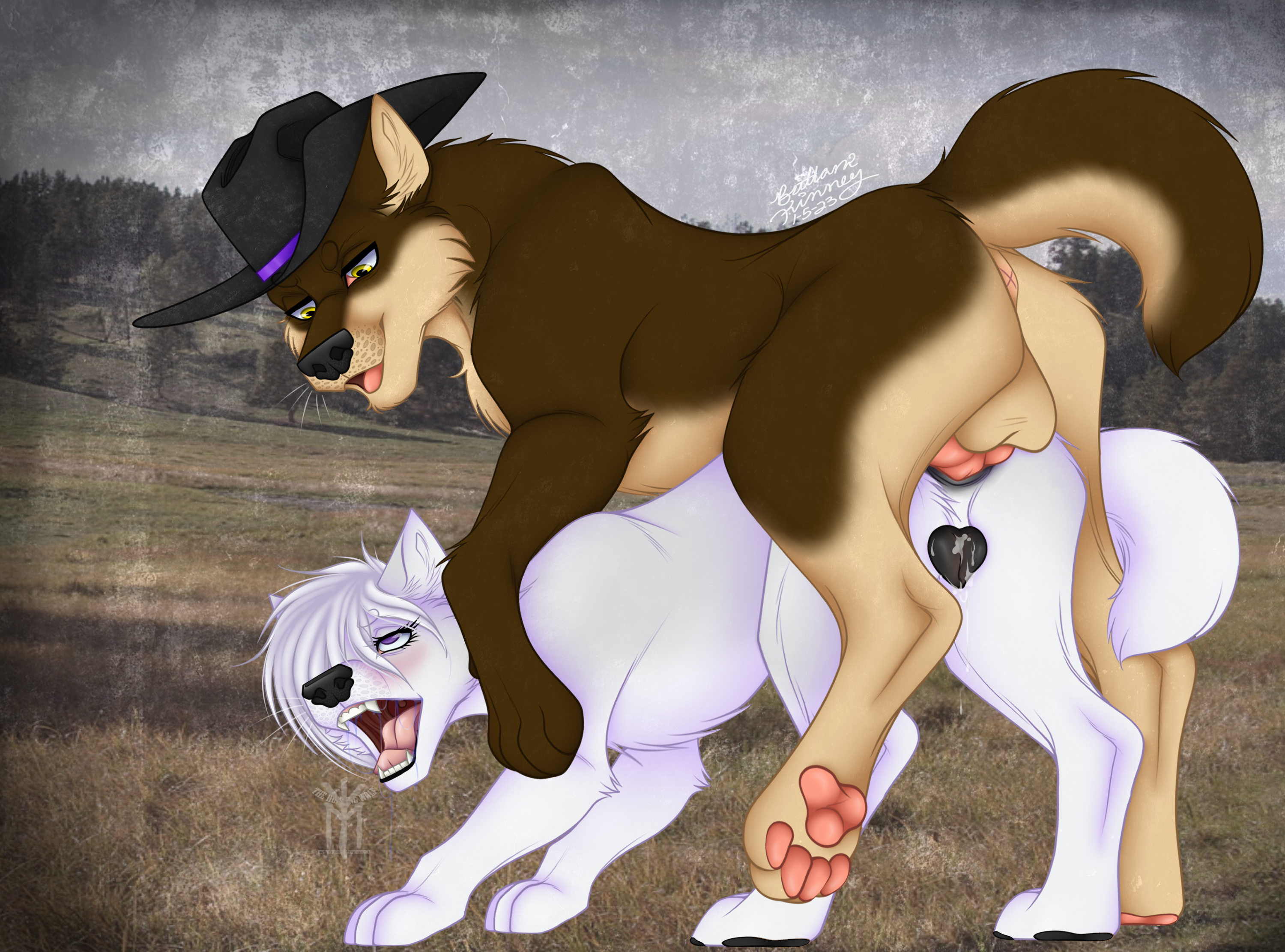 Cowboy (Rule34) R34