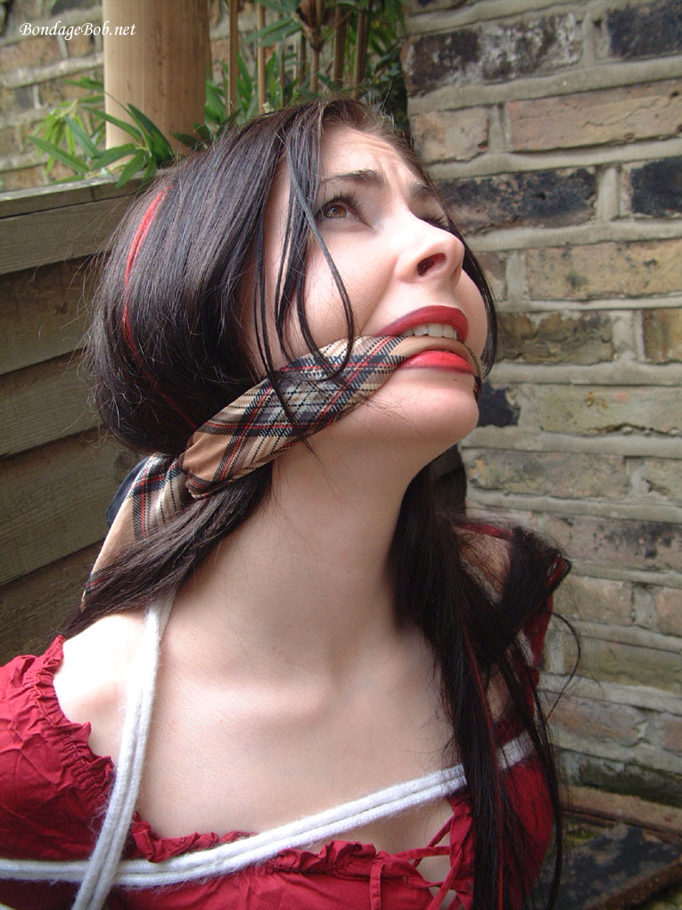 Tied Sexy Beauties 61-2