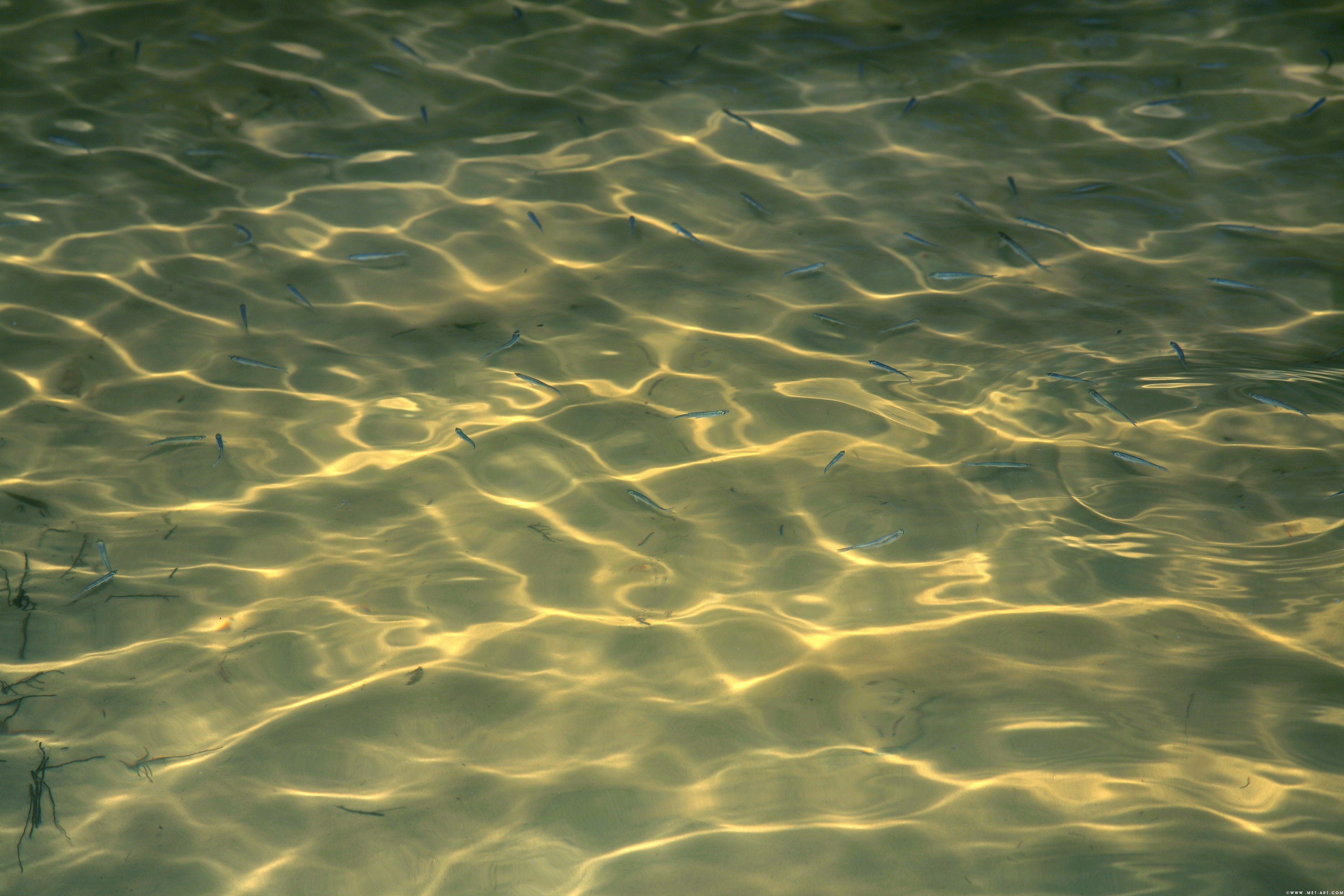 2010-07-23 [Met-Art] Ksucha B - Sunset