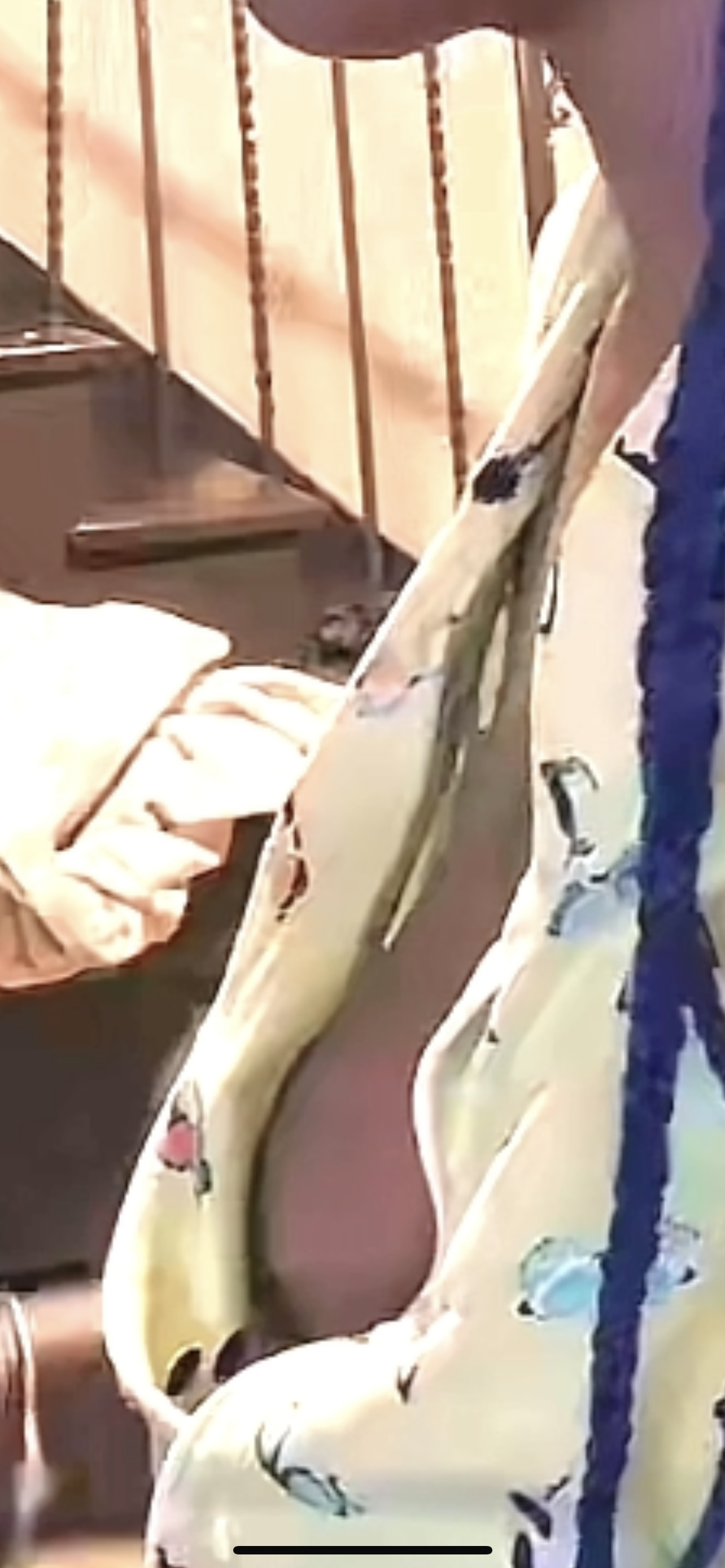 I’m starting to understand the obsession with TikTok