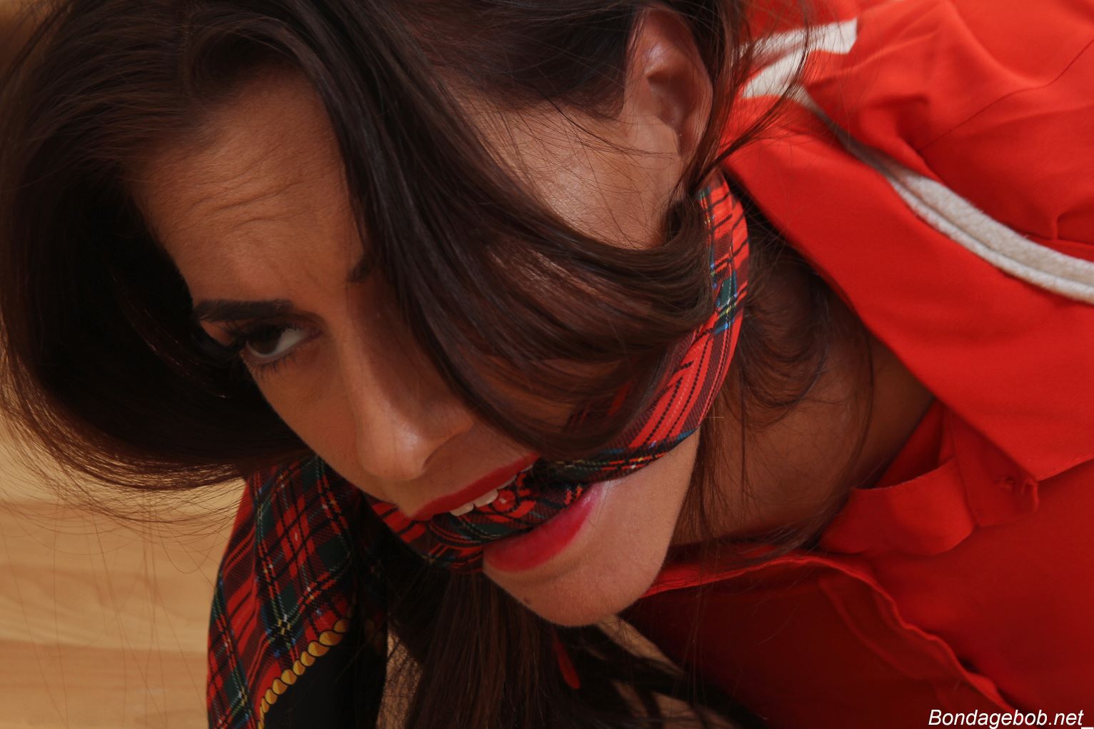 Tied Sexy Beauties 140-3