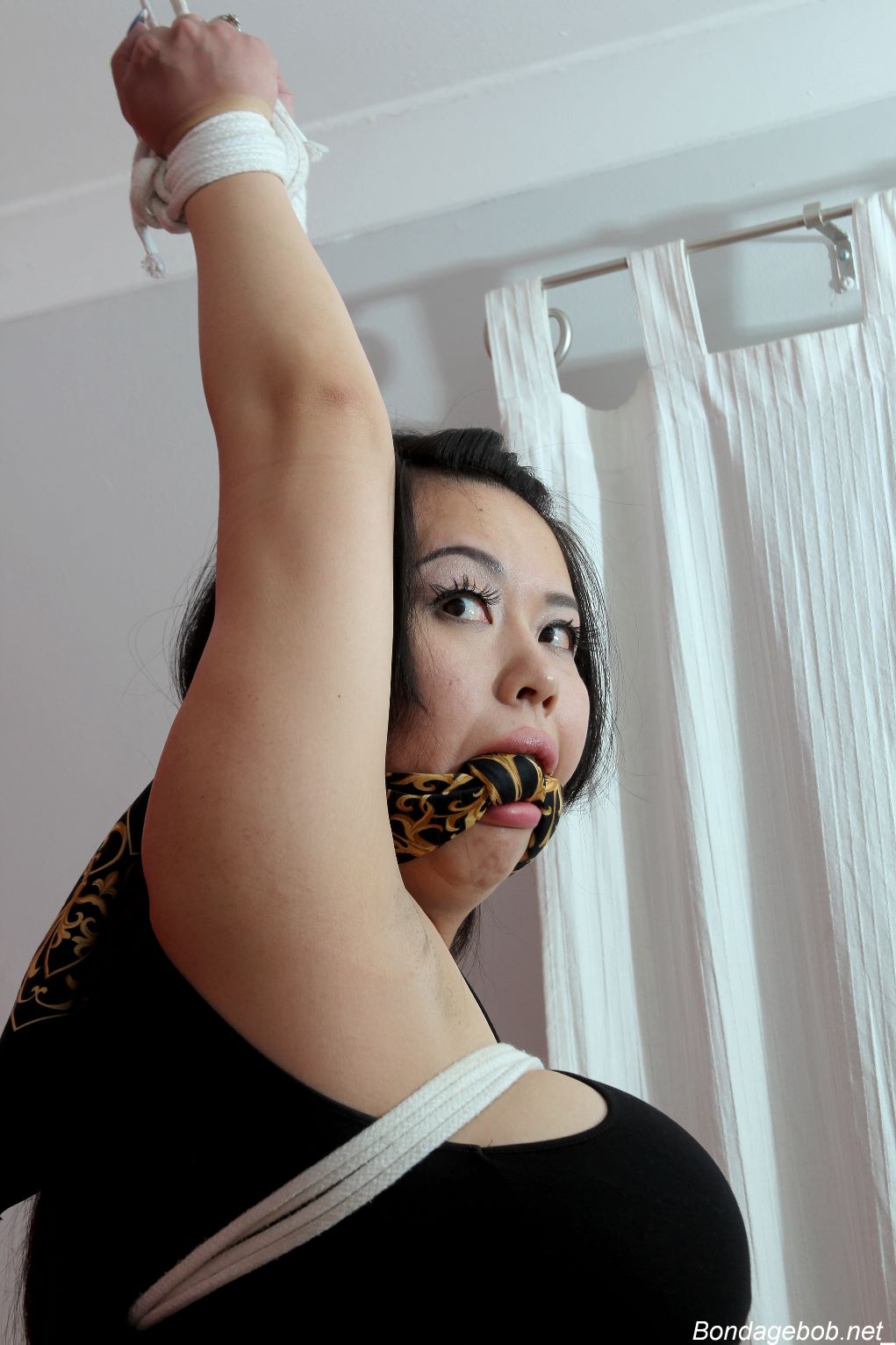 Tied Sexy Beauties 142-2