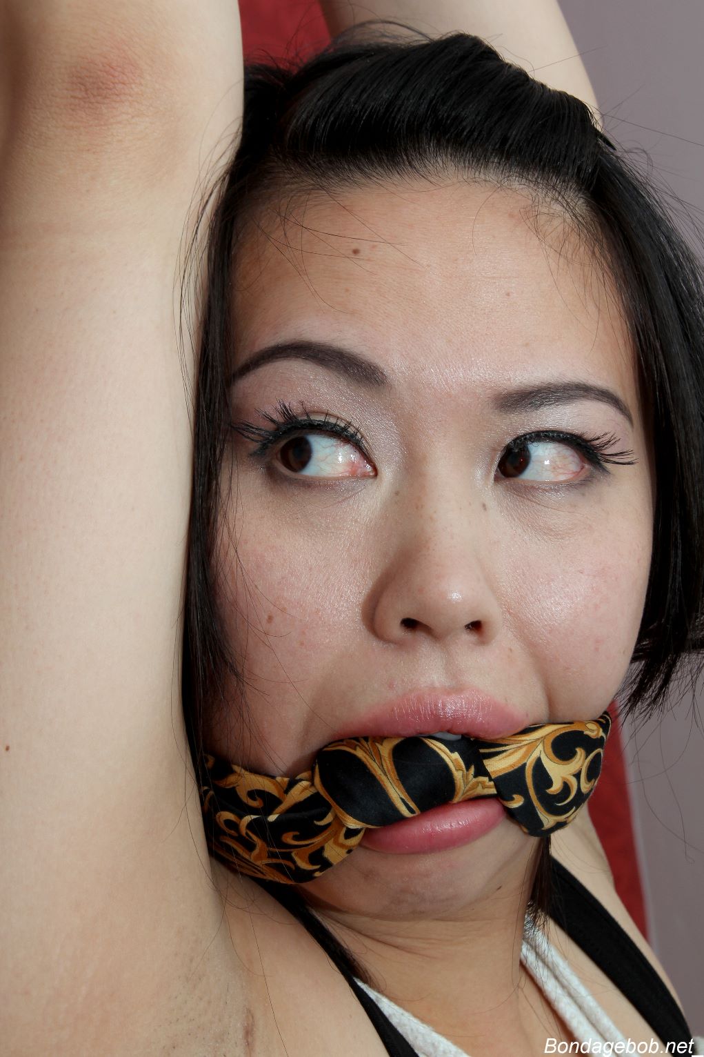 Tied Sexy Beauties 142-2