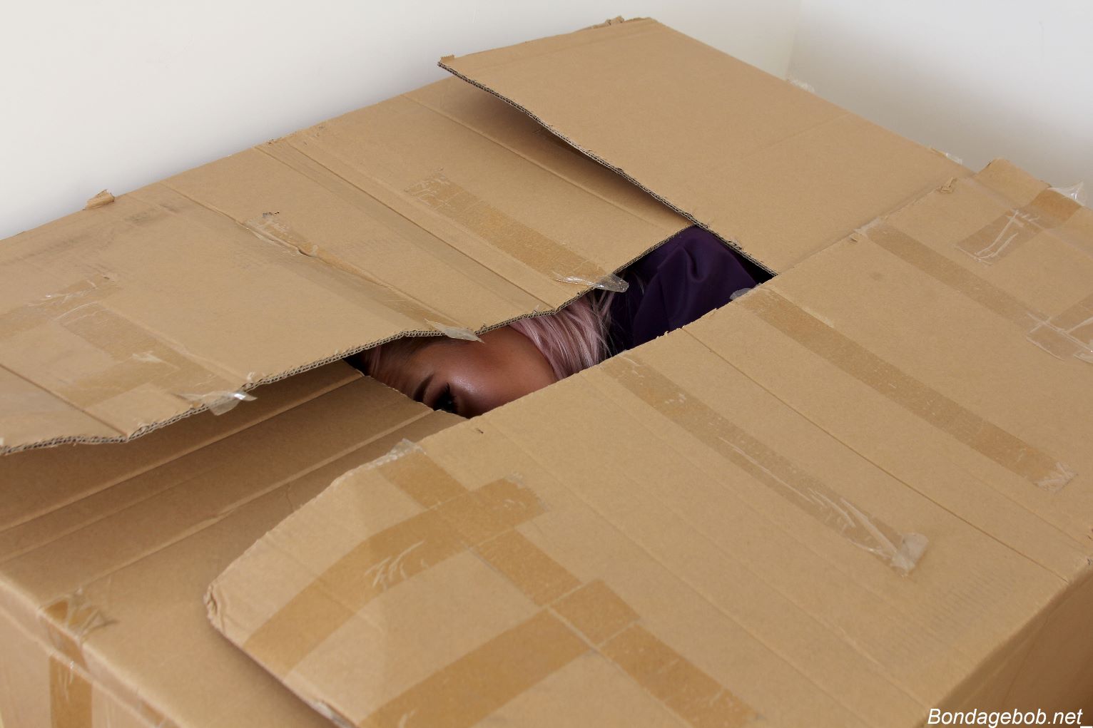 Tied Sexy Beauties 145-1