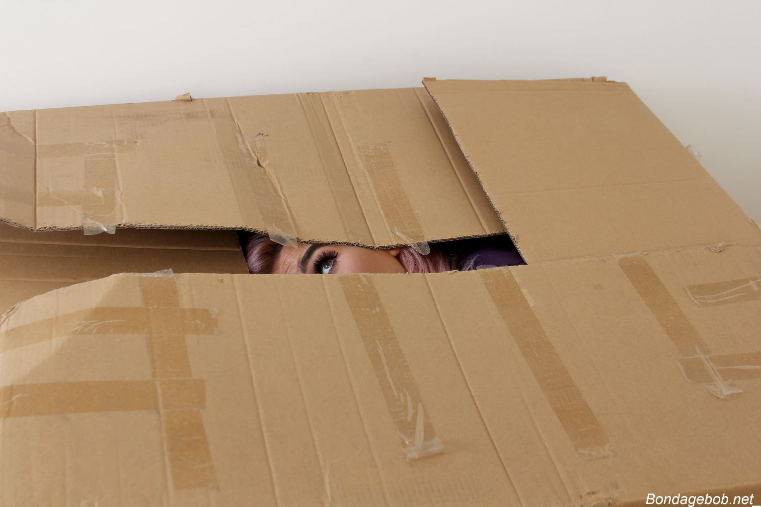 Tied Sexy Beauties 145-1